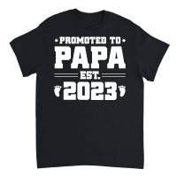 Product Promoted to Papa Est 2023 Unisex T-Shirt