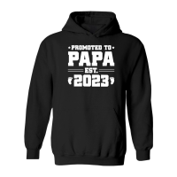 Product Promoted to Papa Est 2023 Hoodie