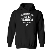 Product Promoted to Great Grandpa 2024 Hoodie