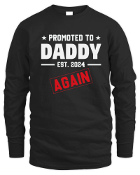 Product Promoted to Daddy Again 2024 Fathers Day Unisex Sweatshirt