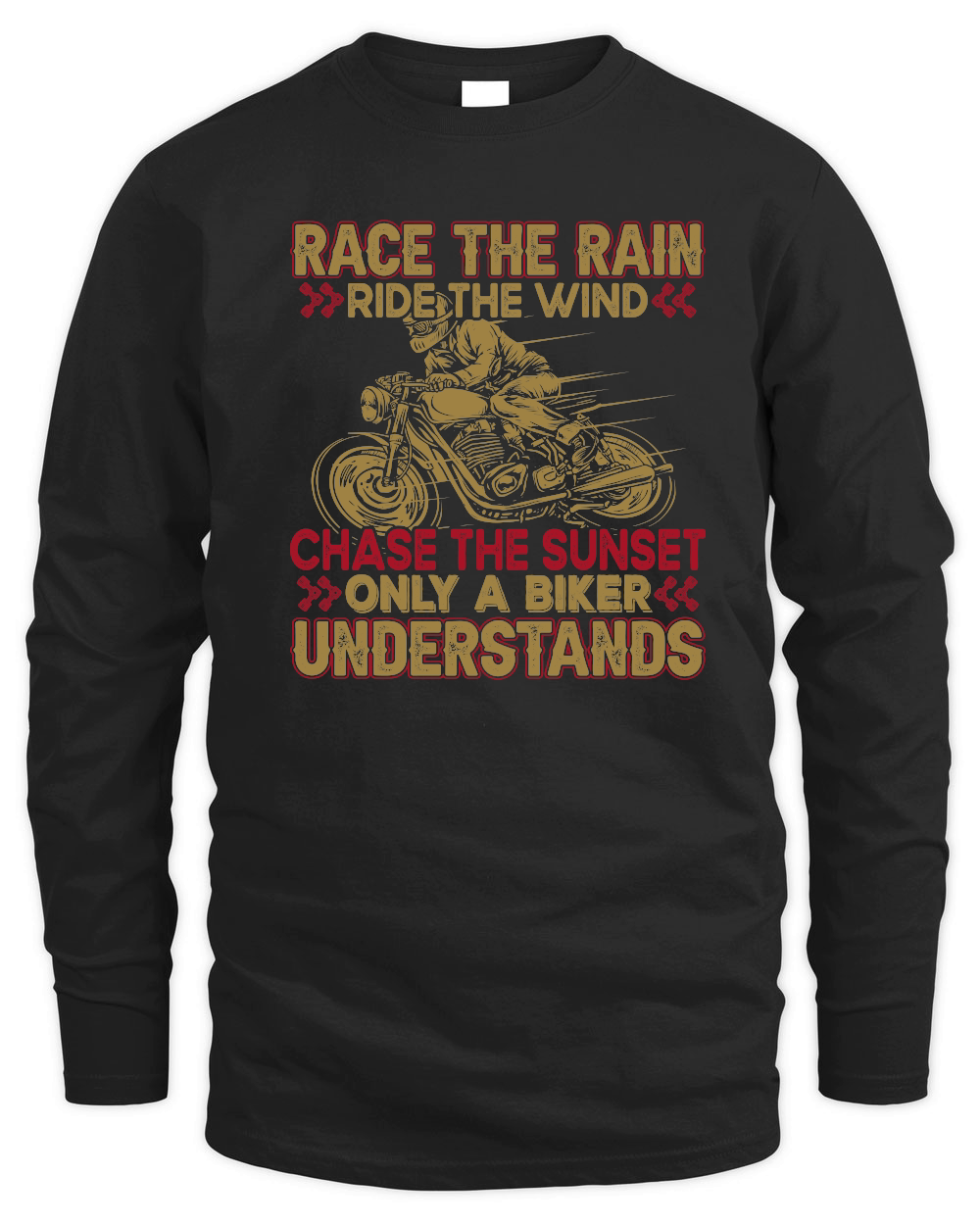 Race the Rain, Ride the Wind Motorbike