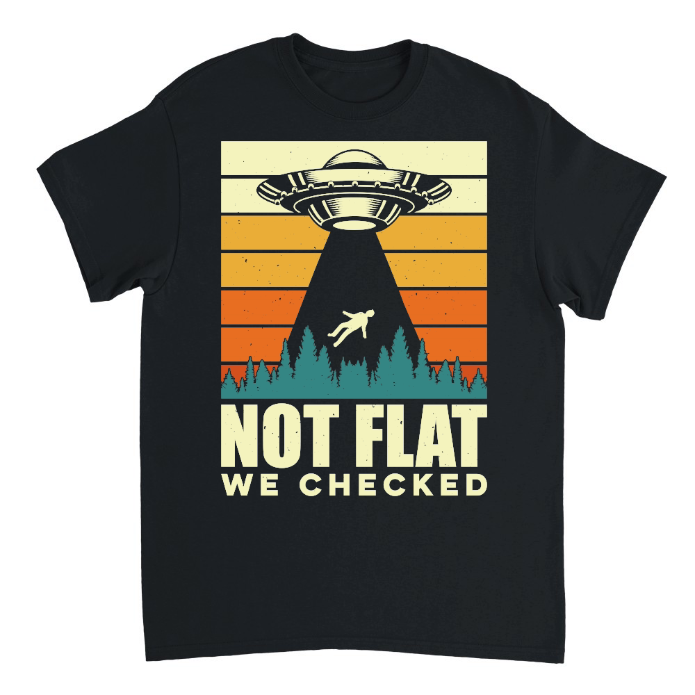 Funny Vintage UFO Alien not Flat we checked