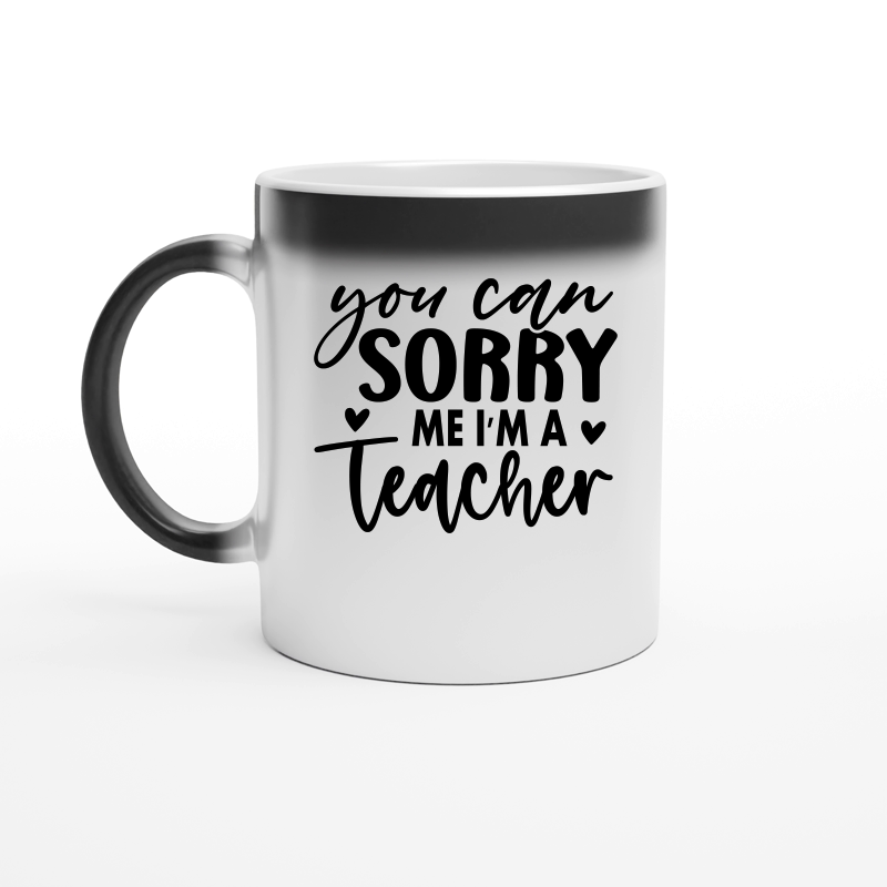 You Can Sorry Me I'm a Teacher 01